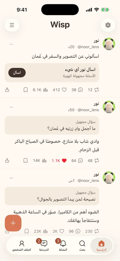 أسئلة مجهولة وإجاباتها على ملف شخصي في Wisp